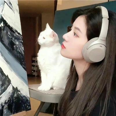 图书馆员第二季