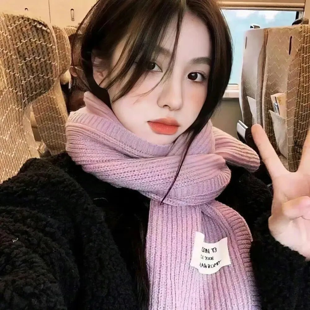 托梅斯的导盲犬